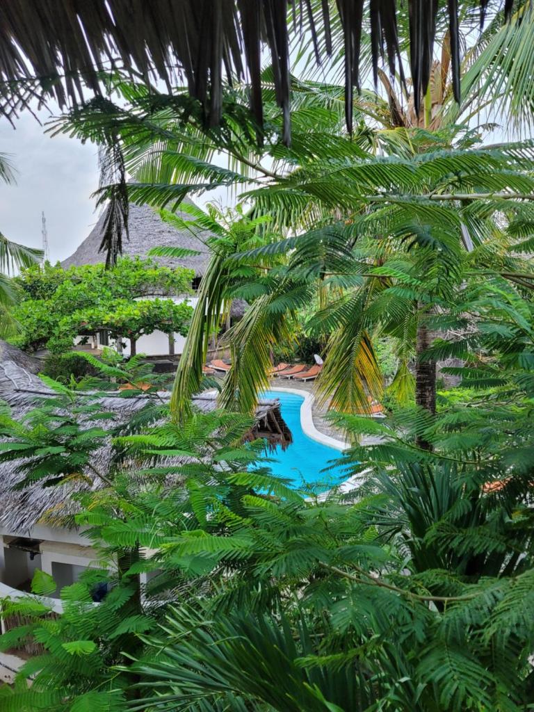 Flamingo Villas Resort photo 1