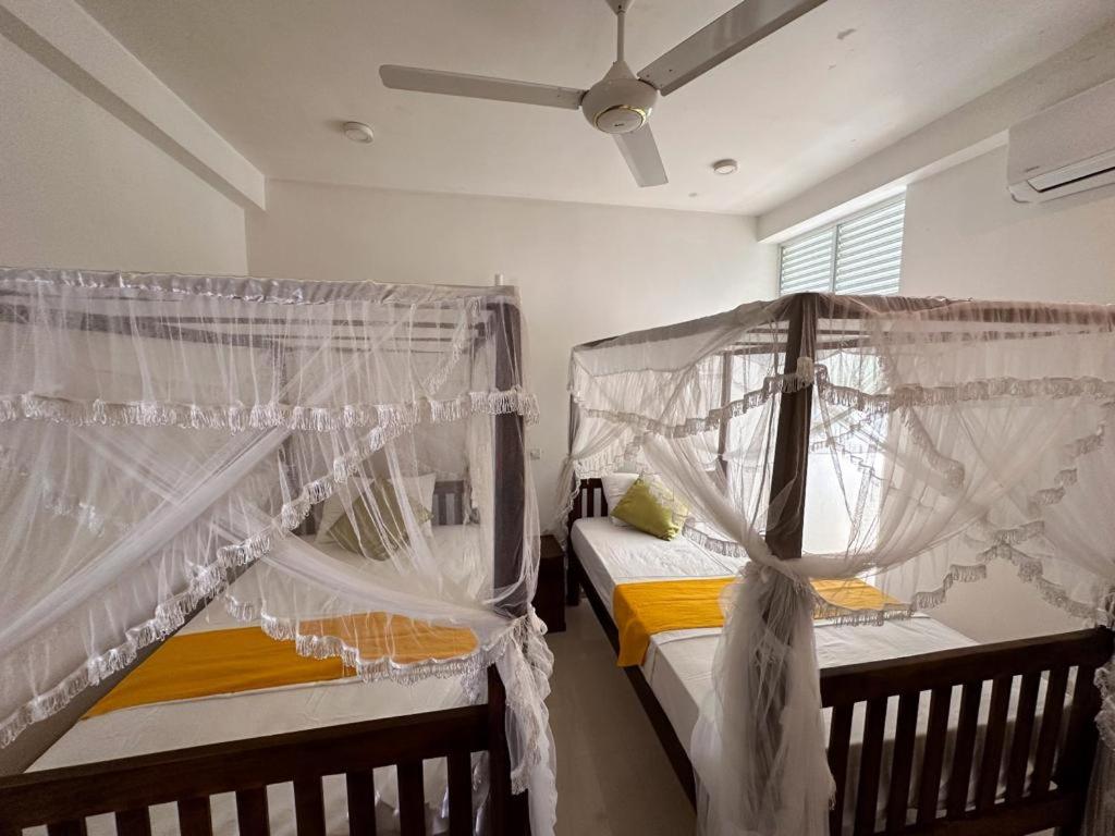VOGEL NEST photo 3