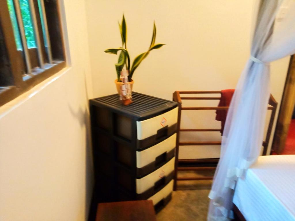 Opara Palace photo 4