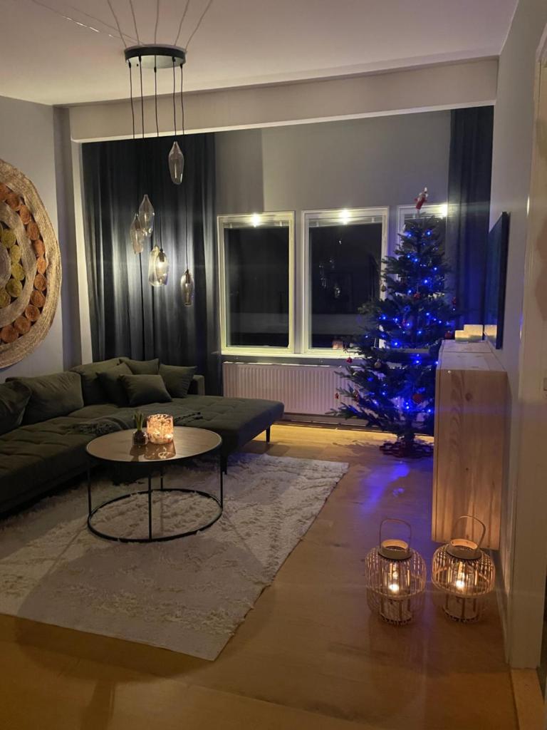 House by the lake in central Jokkmokk photo 3