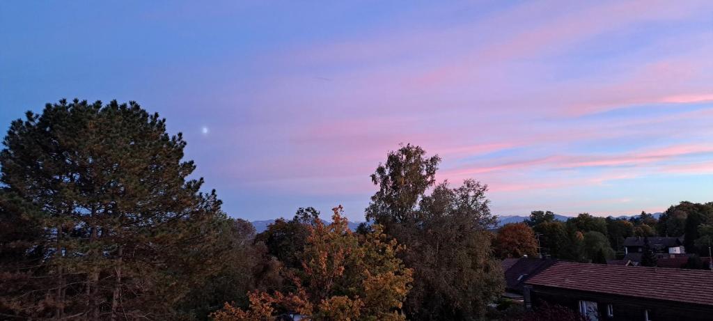 Zimmer mit Sonnenaufgang und ruhiger Innenhof bei Koberstein photo 3