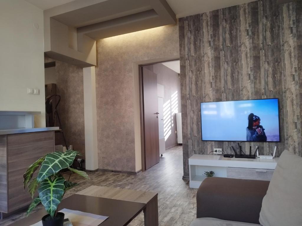 Heart of Pernik apartment photo 3