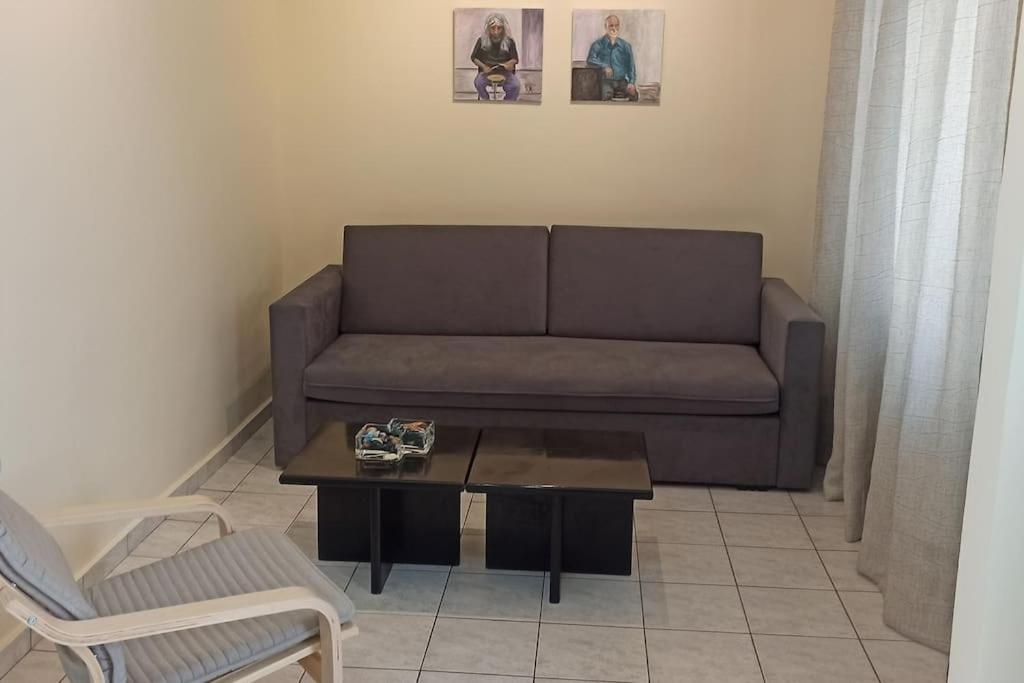 Arta House photo 4