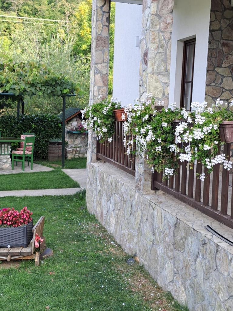 Rooms and apartmants Mirovic photo 4