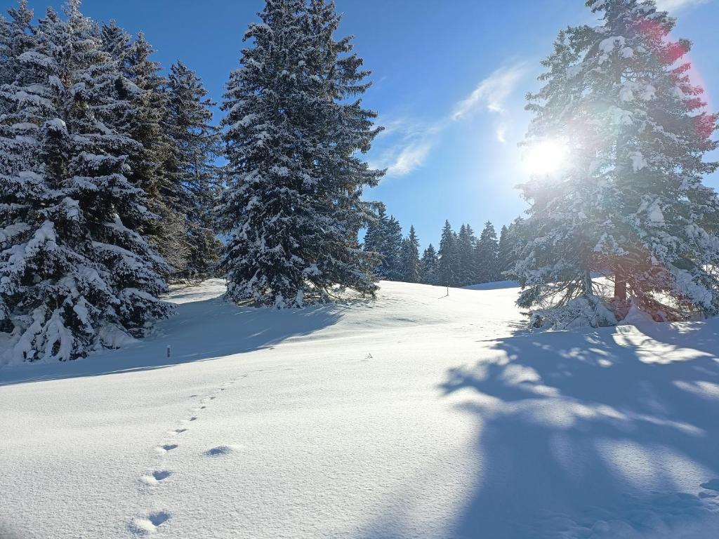 Ferien in der Region Lenzerheide photo 1