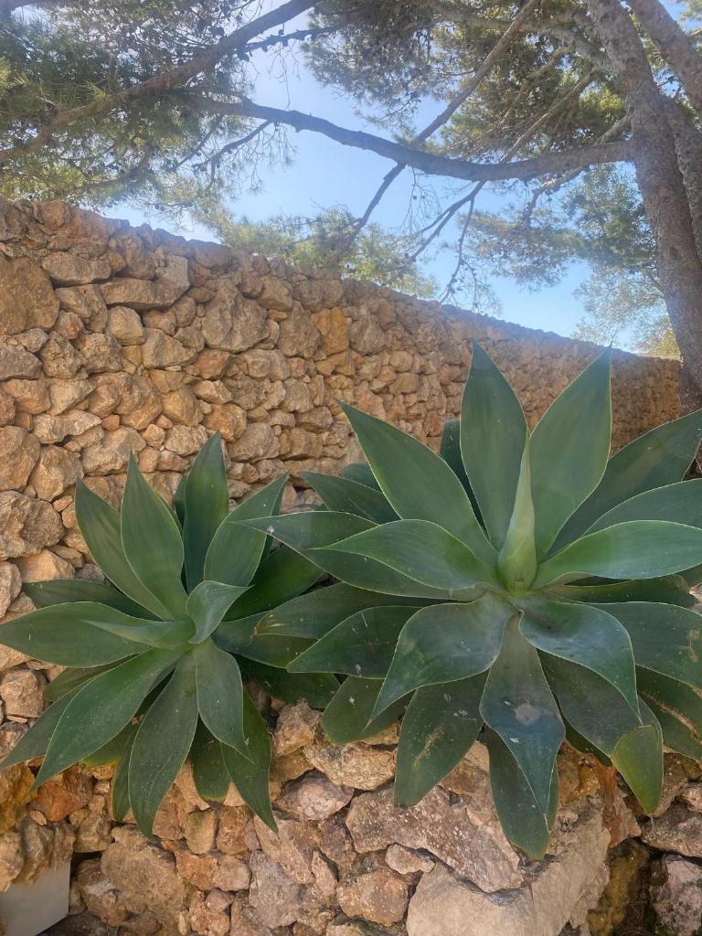 SPACIOUS, beautiful villa, large garden and pool, home from home photo 3