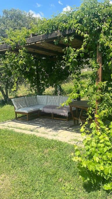 Modern countryside house,30 minutes from Florence. photo 2