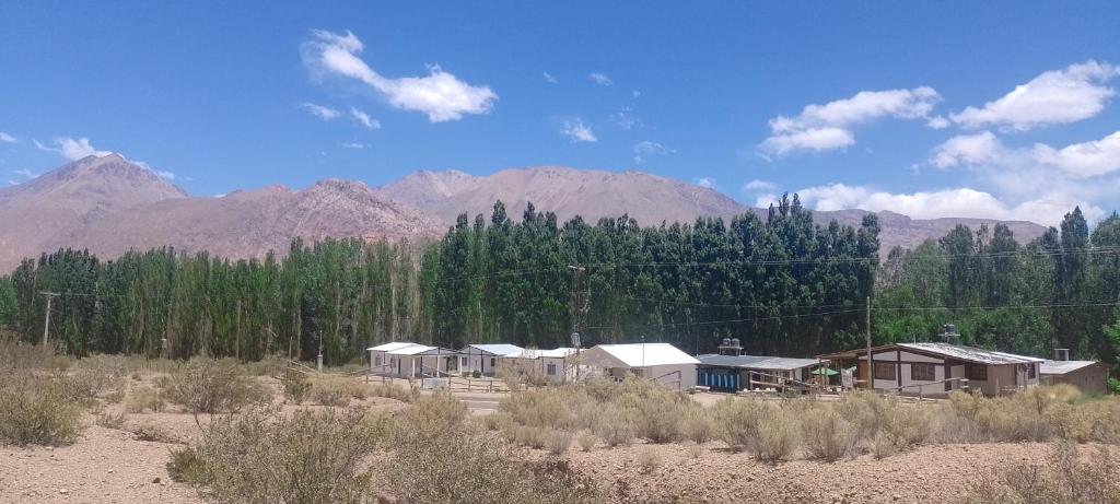 Cabañas de los Andes photo 1