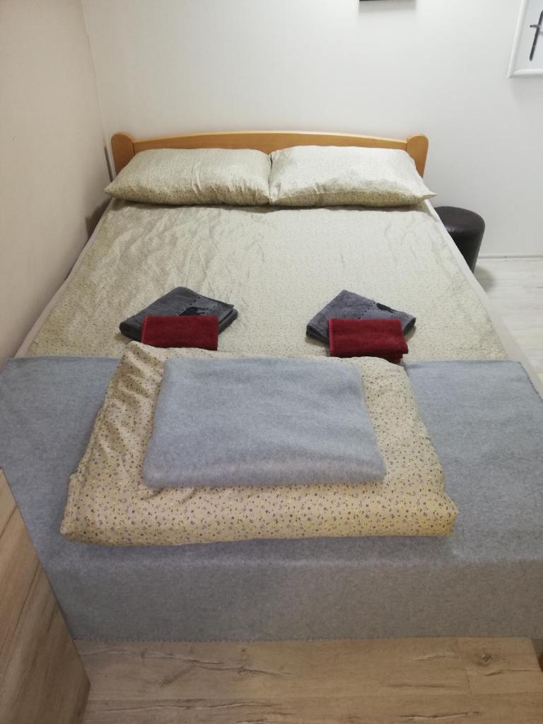 Blue Carpet Rooms photo 2