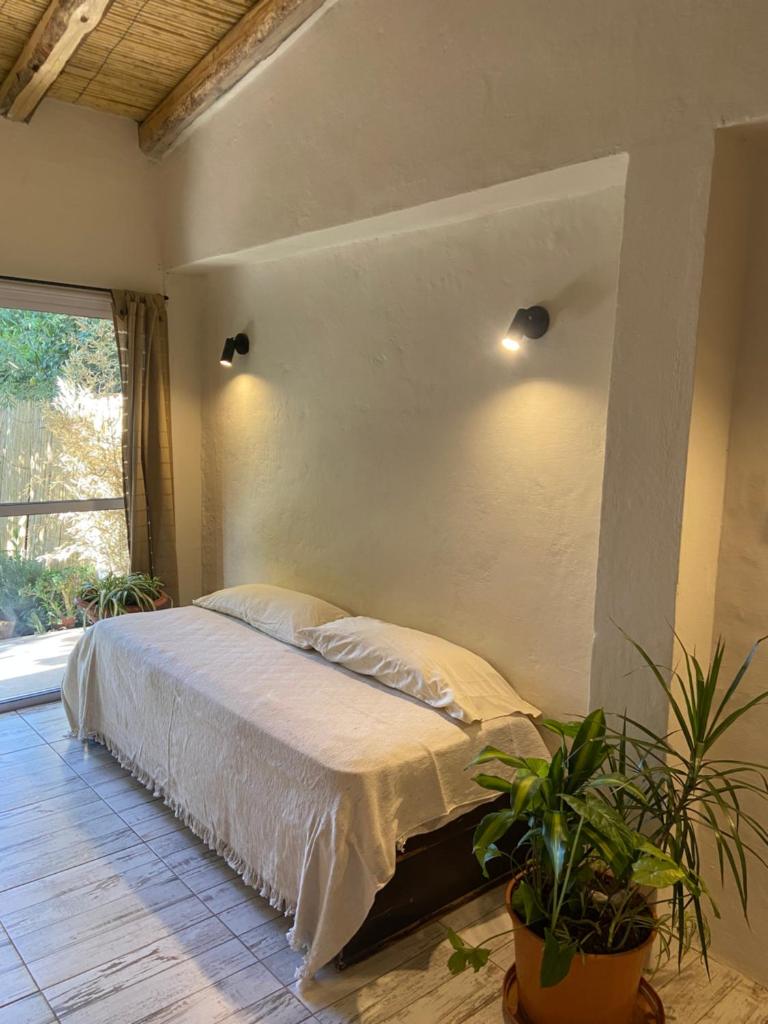 Casa Terra photo 1
