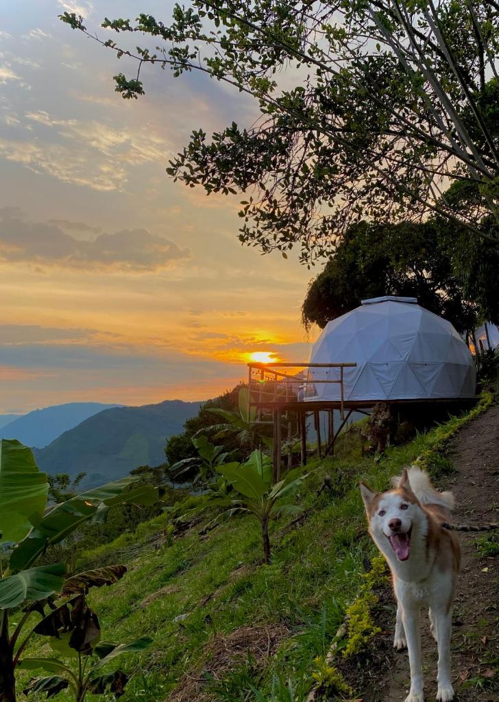 Andino Glamping