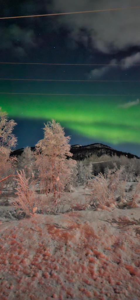 Elvestua photo 2