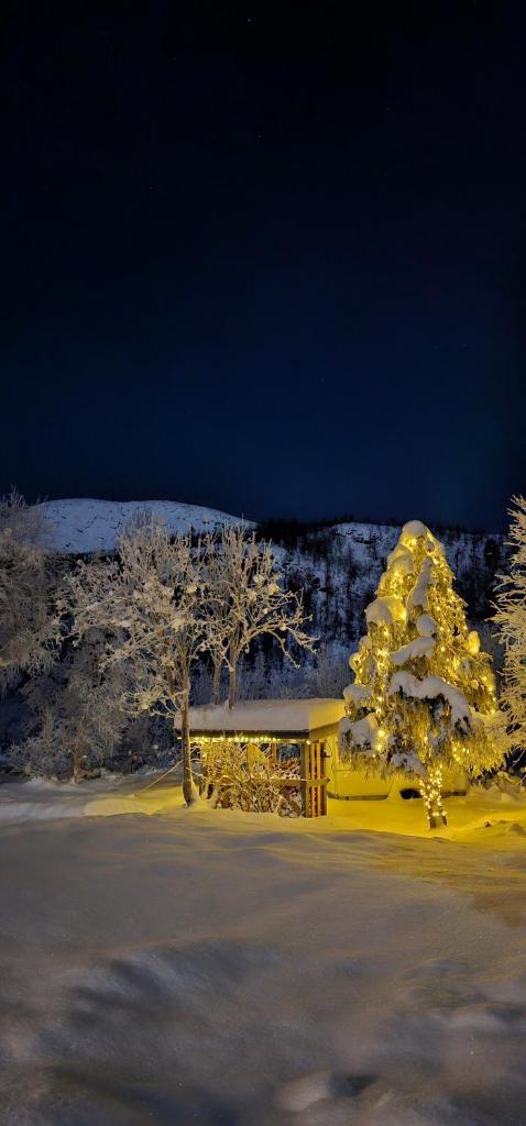 Elvestua photo 1