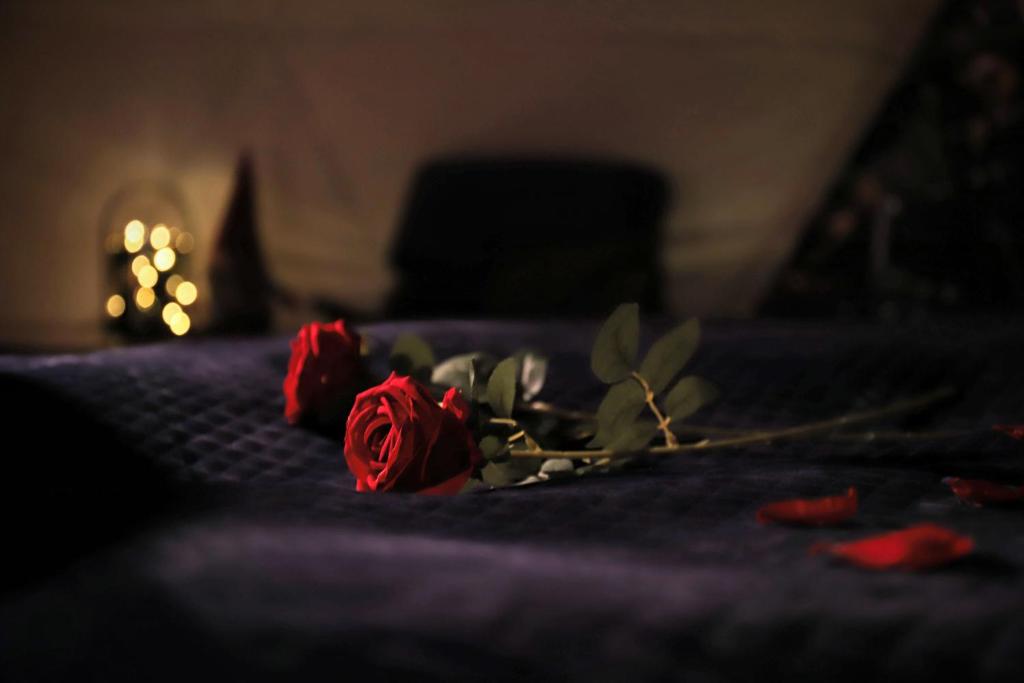 Olden Glamping - One with nature photo 1