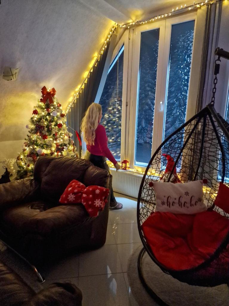 Home Belić Golija photo 3