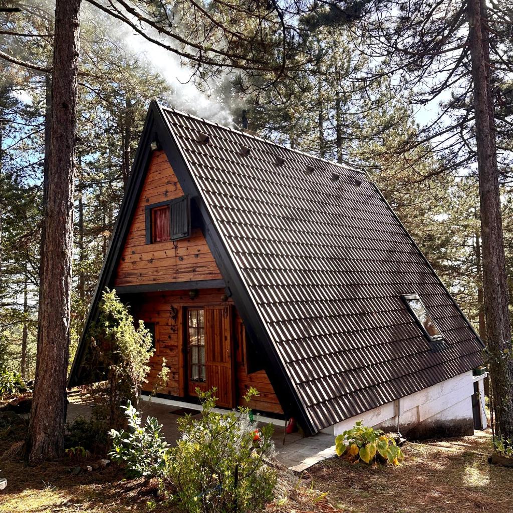 Tara Rustic Retreat