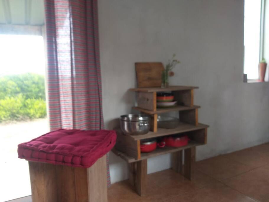 Hide en la laguna. Observatorio de especies photo 3