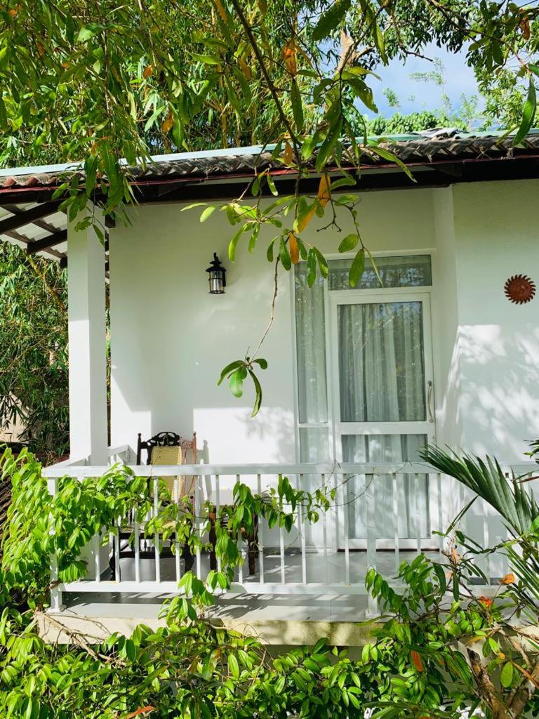 Villa Olga photo 2