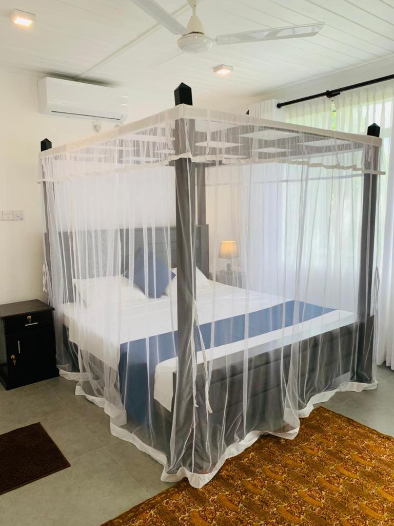 Villa Olga photo 1