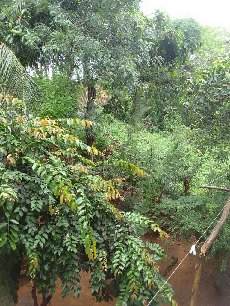 Mithila City Home Stay photo 3