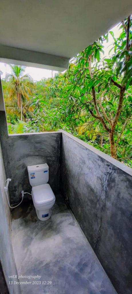 Jungle Escape Surf Hostel - Surf Packages on INSTAGRAM photo 3