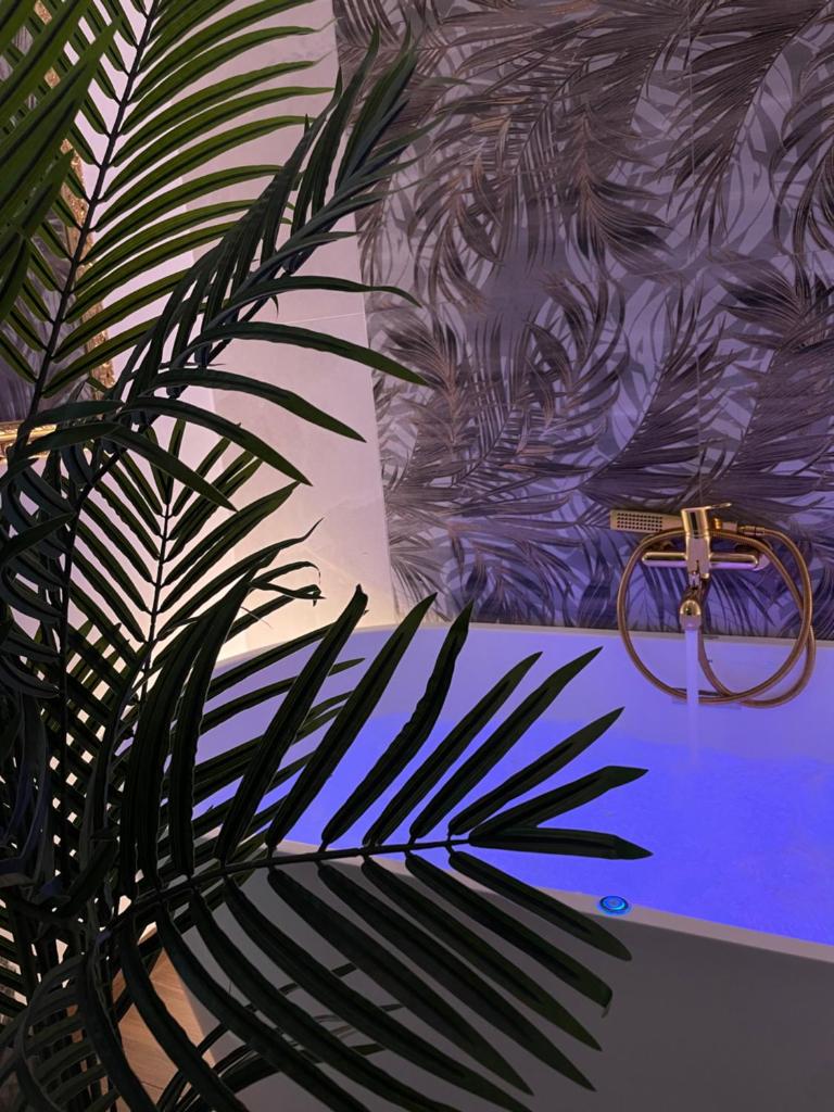 B&B Euthalia photo 3