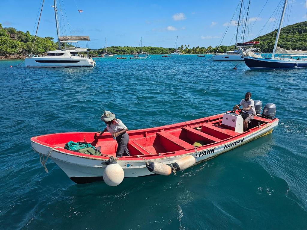 Wild Lotus Glamping - Mayreau, Tobago Cays photo 1