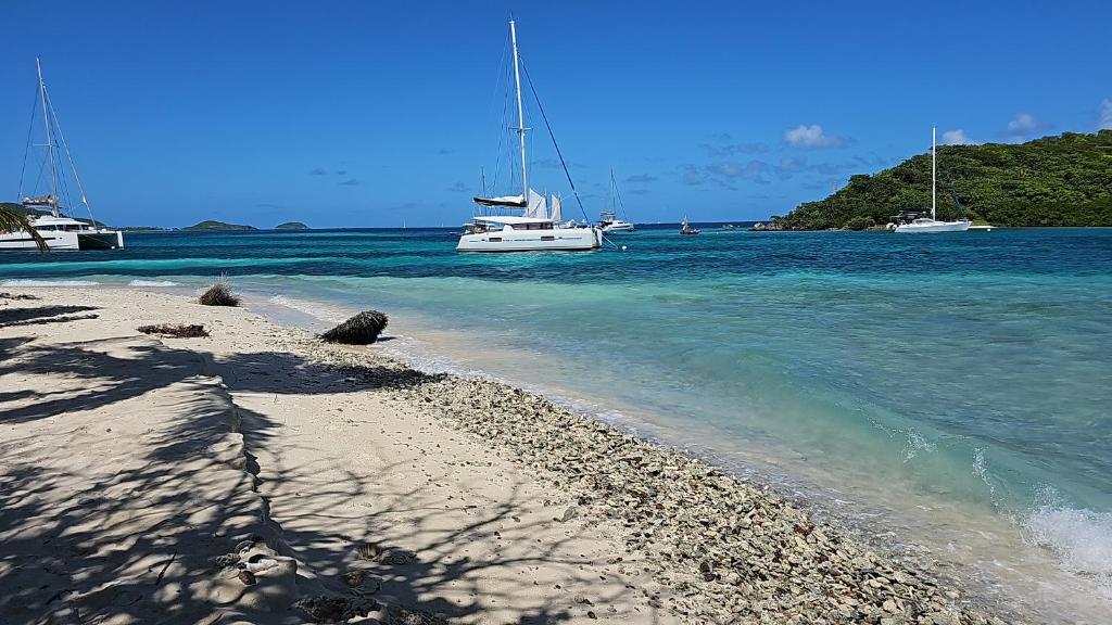 Wild Lotus Glamping - Mayreau, Tobago Cays photo 3