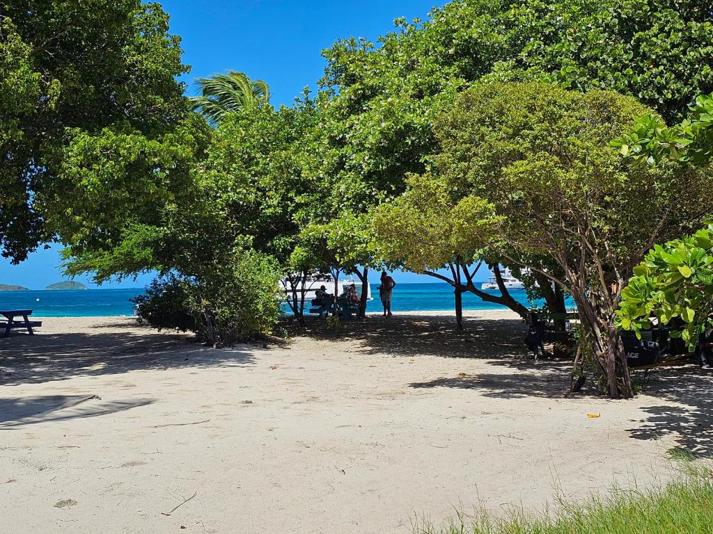 Wild Lotus Glamping - Mayreau, Tobago Cays photo 4
