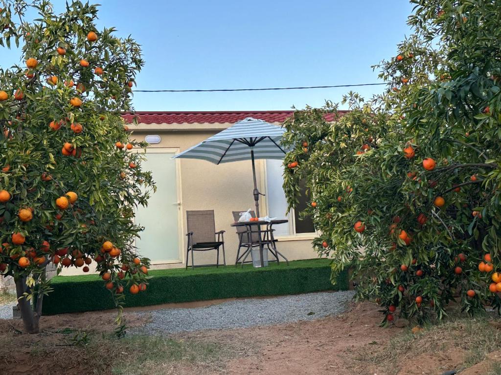 Naseem Country House photo 3