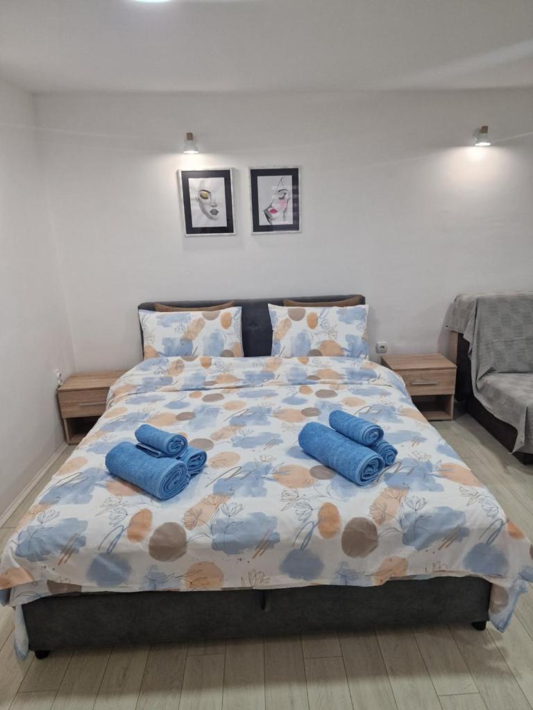 Zed apartman Leskovac photo 1