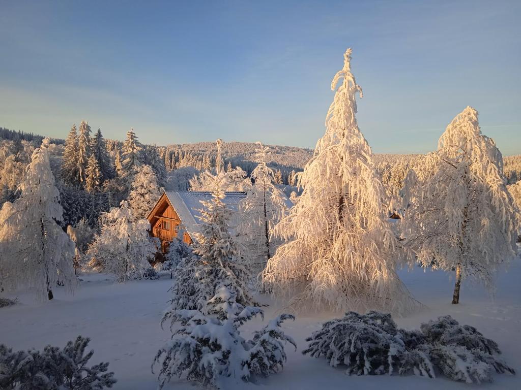 Srub Javorná - apartmány Šumava photo 4