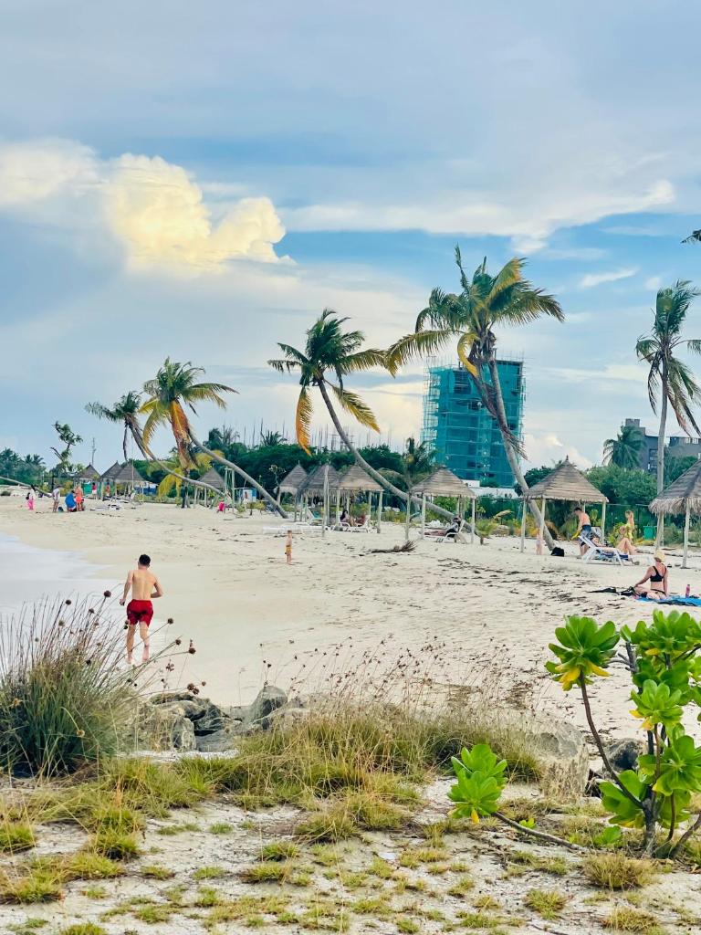 La Isla Tropica photo 4