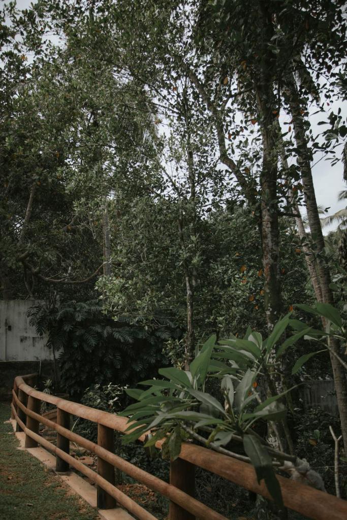 Woradi Solitude Bungalow photo 1
