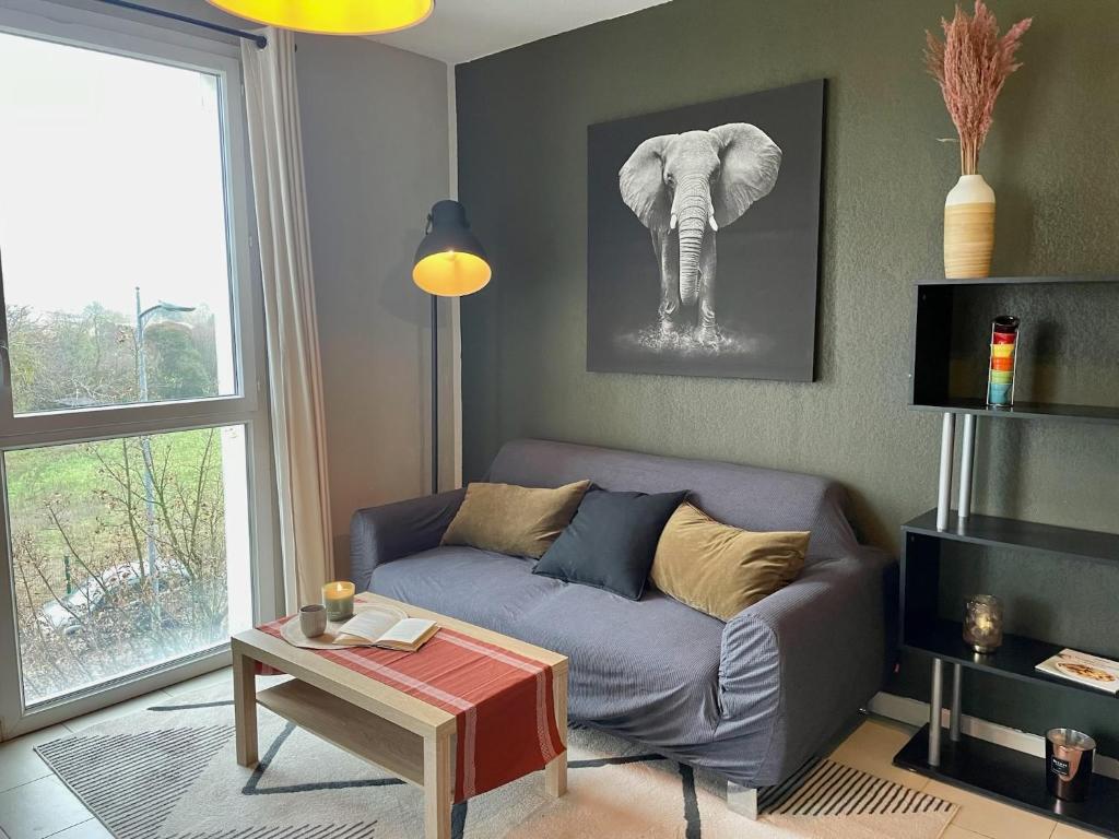 Le Colorado - Appartement proche Airbus photo 4
