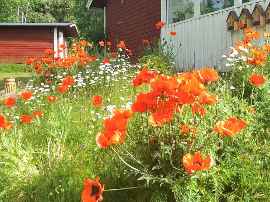 Holiday home NÄSSJÖ III photo 1