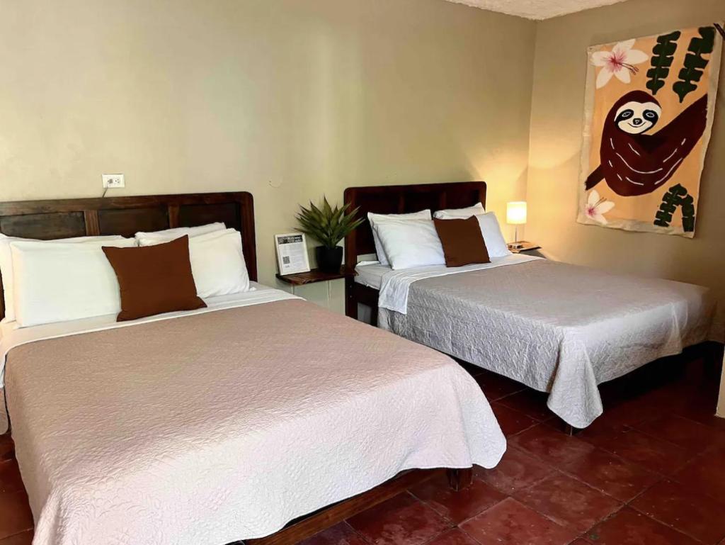 Casa Geraldo, Seaview animals lovers true B&B photo 3