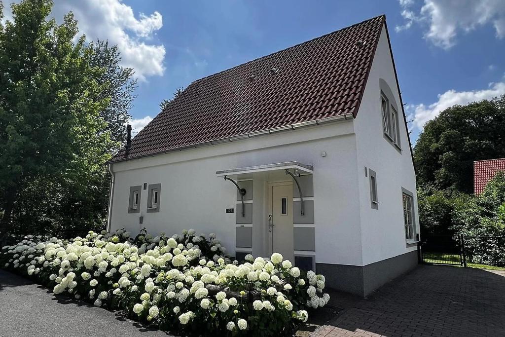 Villa Mina