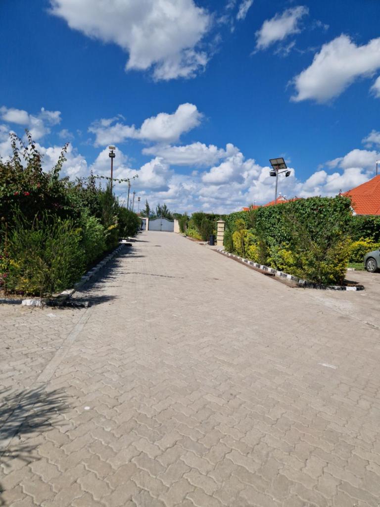 Savanna Greens Joska photo 4