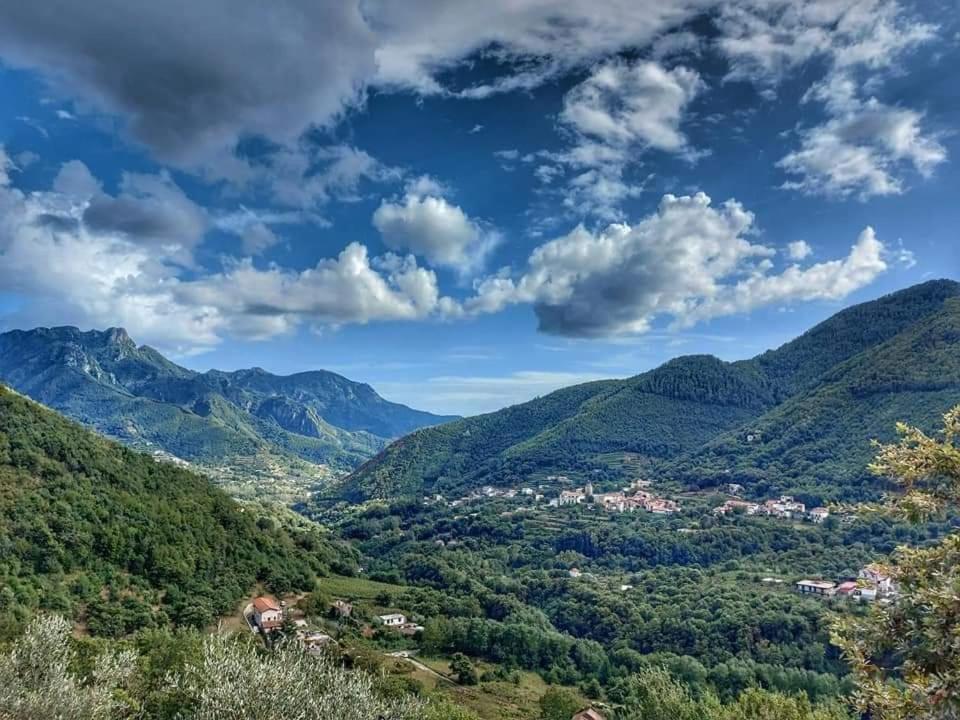 Villa Bianca photo 4