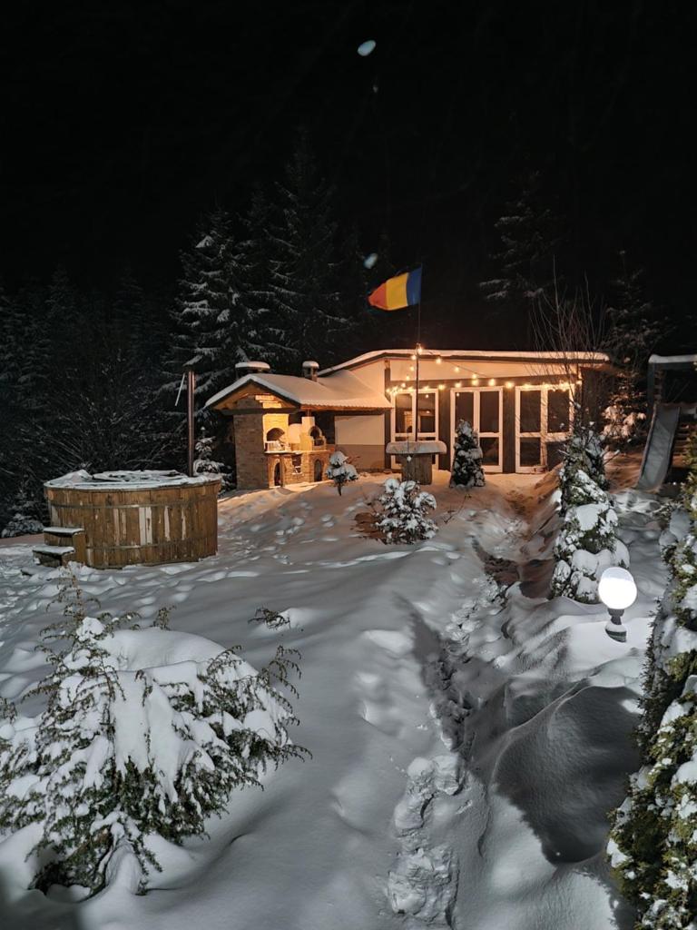 Cabana Căsaru photo 1