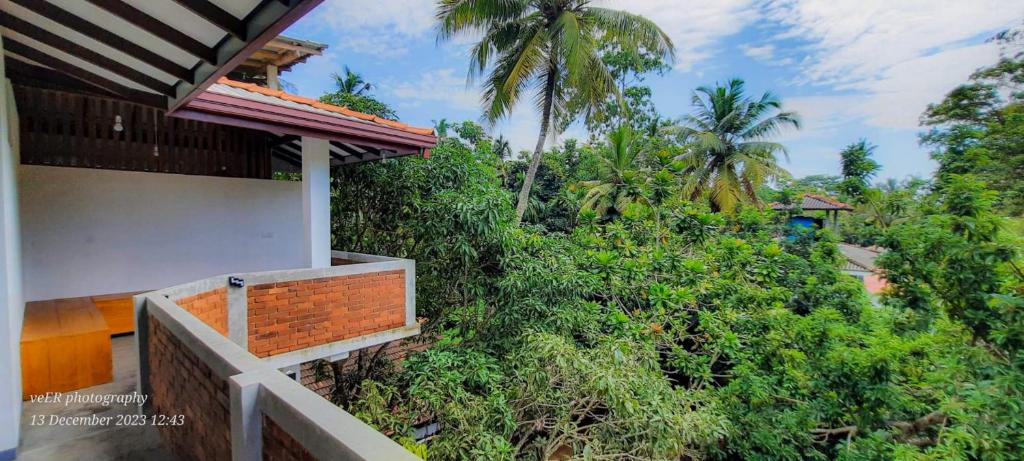 Jungle Escape Surf Hostel - Surf Packages on INSTAGRAM photo 1