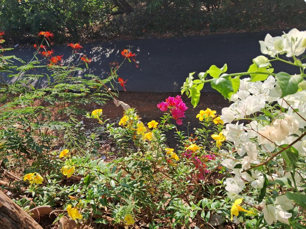 Hotel Jagdish homestay photo 3