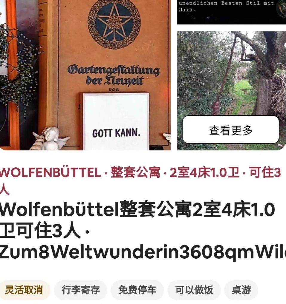 Zum 8 Weltwunder, Wildwald Edition, わあわ 1 bis 2 Player Opt わた, bis ら Player, わあわ FSK Ihre やrivatsphäre photo 2