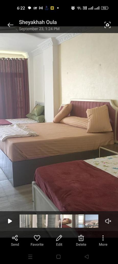 Panoramic Apartment looks over Nile river photo 1
