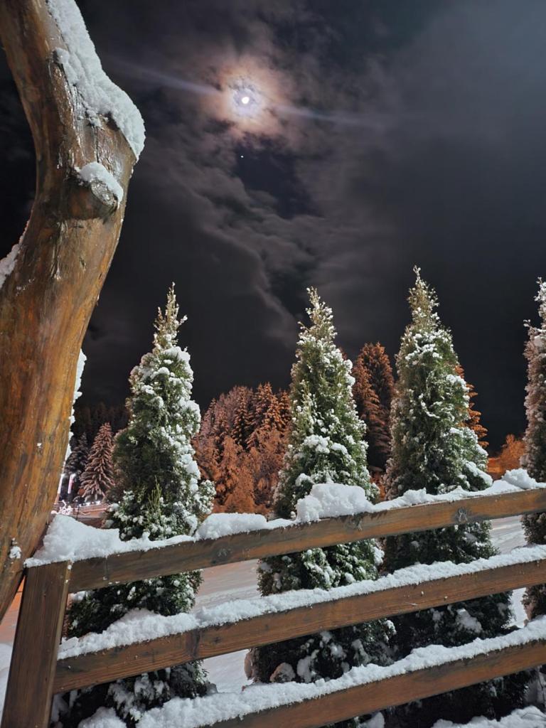 Zlatar Luxury Chalet - TRACE OF NATURE 2214 photo 2