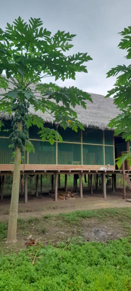 Refugio Rural Amazonas photo 4