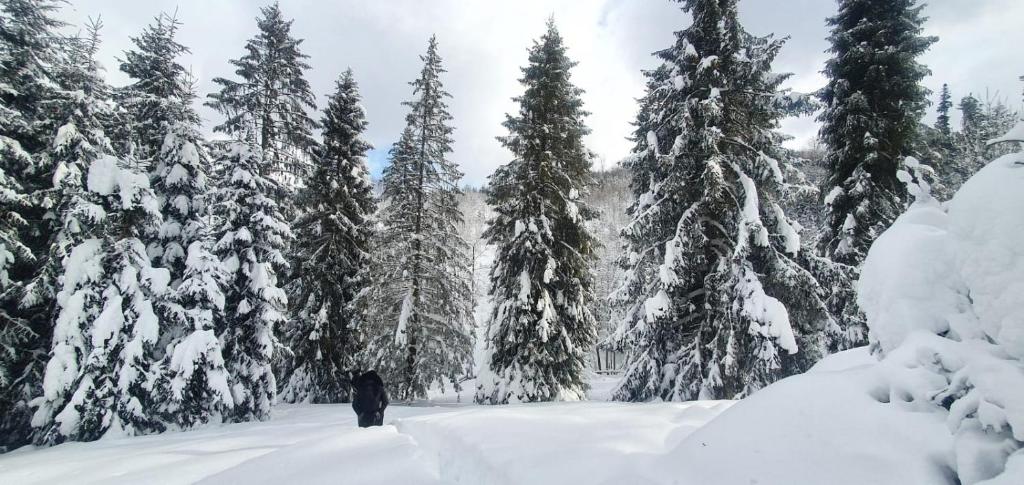 Gierkówka - Górska Rezydencja Pierwszego Sekretarza photo 1