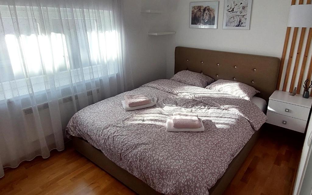 Stan na dan Nova Pazova centar photo 1