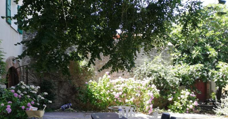 Gîte de charme la belle histoire photo 2